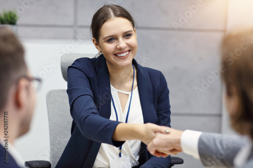 Bilde på lerret Business interview in modern office