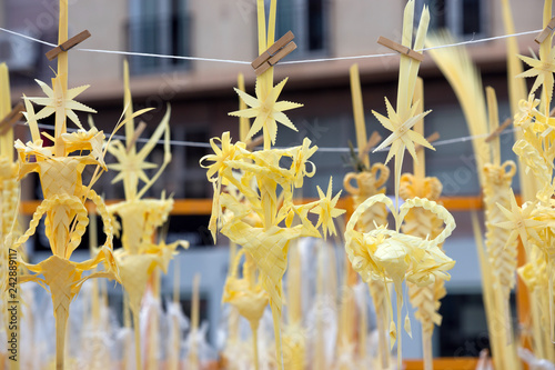 Ramos de palma blanca para la procesión de Domingo de Ramos  photo