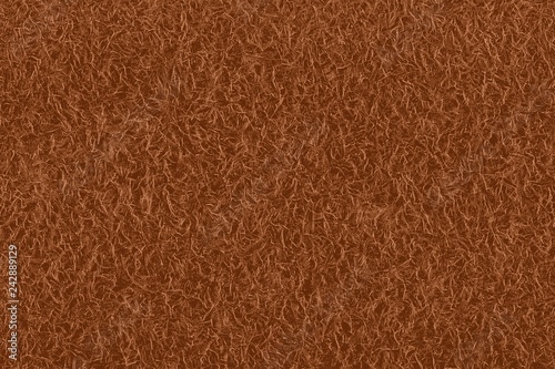 Texture of kiwi fruit peel with view of the hair