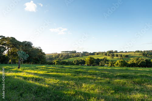 paisagem no campo