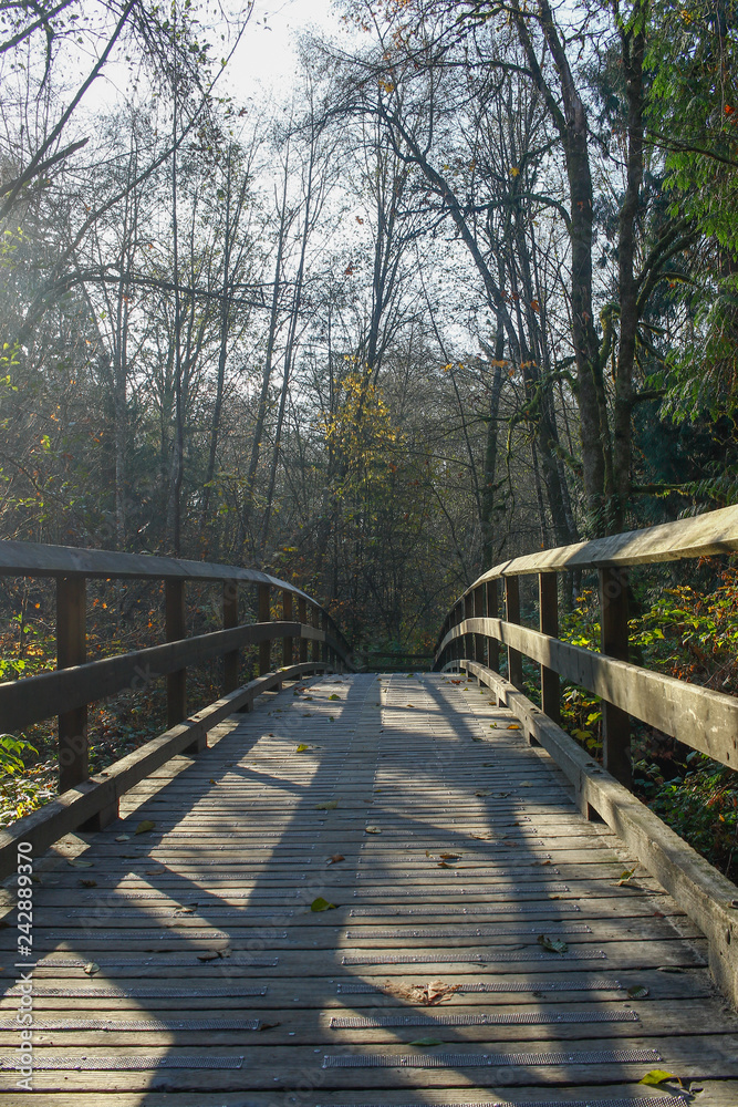 wooden bridge in the park