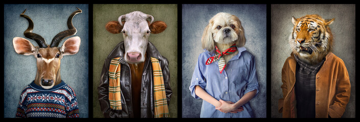 Animals in clothes. People with heads of animals. Concept graphic, photo manipulation for cover, advertising, prints on clothing and other. Antelope, cow, dog, tiger.