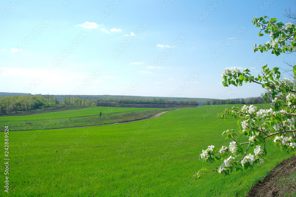 Spring coming to the land