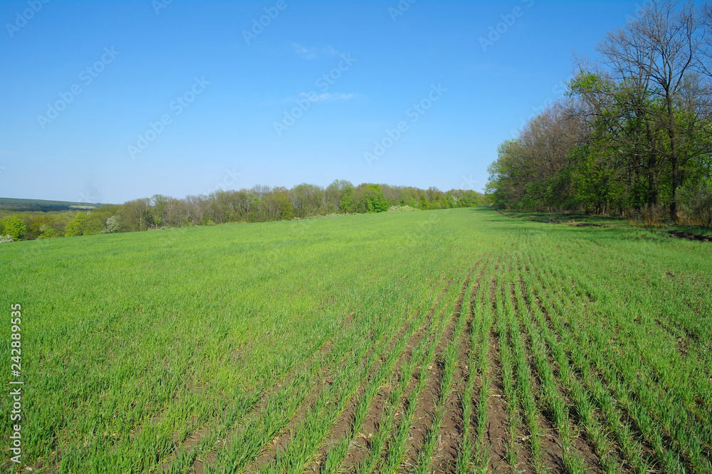 Spring coming to the land