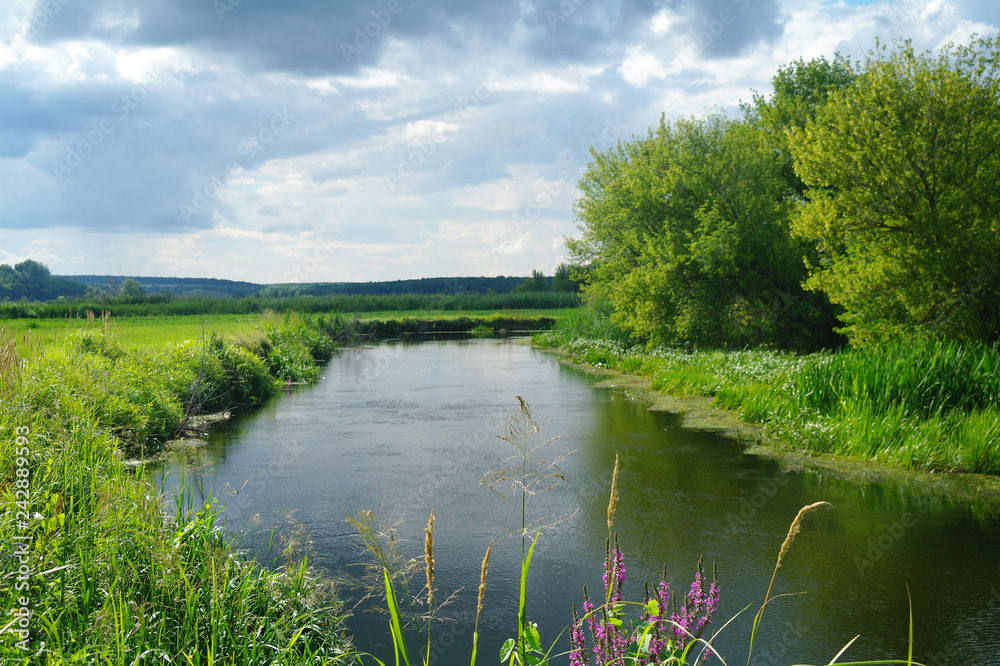 river, land with trees and cloudy sky