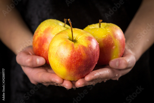 Yellow red apples in woman hands on black background
