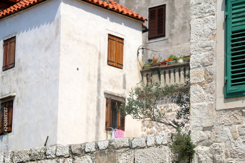 Traditional Mediterranean architecture in Sibenik, Croatia. Stone walls and woode windows with olive plant in the garden. Sibenik is popular summe travel destination. © jelena990
