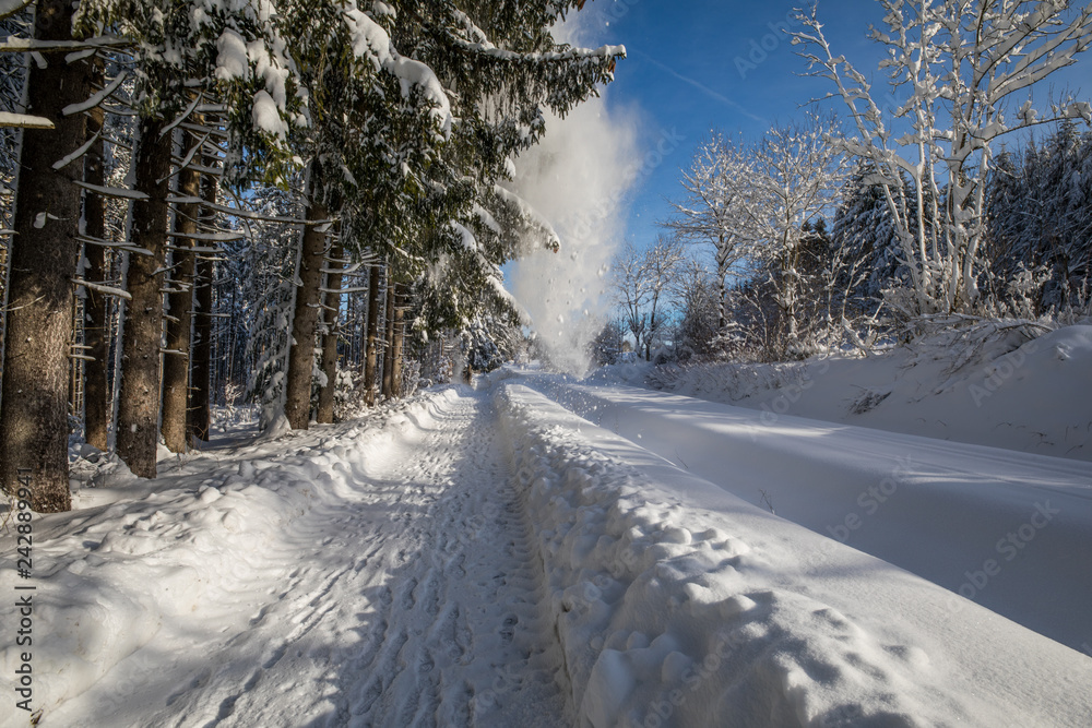 Obraz premium Schneewolke 