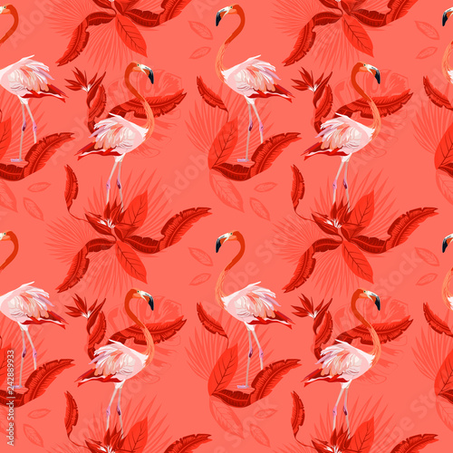 Vector seamless tropical pattern, exotic birds, vivid tropic foliage, with monstera leaf, palm leaves, bird of paradise flower. Pattern trend design.