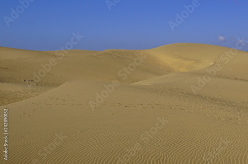 The Maspalomas Dunes  Spanish  Dunas de Maspalomas   against a clear blue sky.