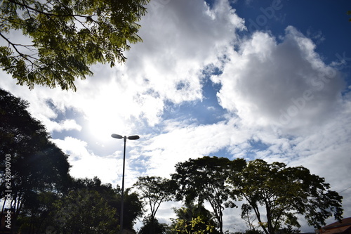 sun in the backlight