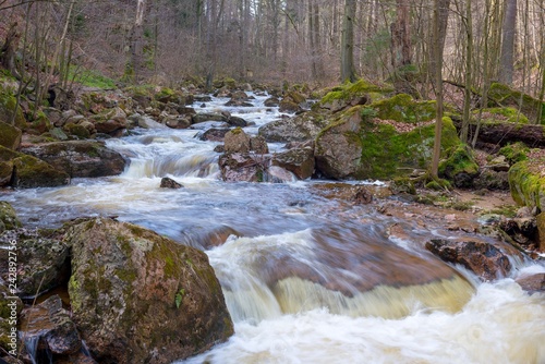 Fluss Ilse im Ilsetal  Felsbrocken mit Moos  Felsen  Flussbett  Fr  hling  Landkreis Harz  Ostharz  Nationalpark Harz  Sachsen-Anhalt  Deutschland  Europa