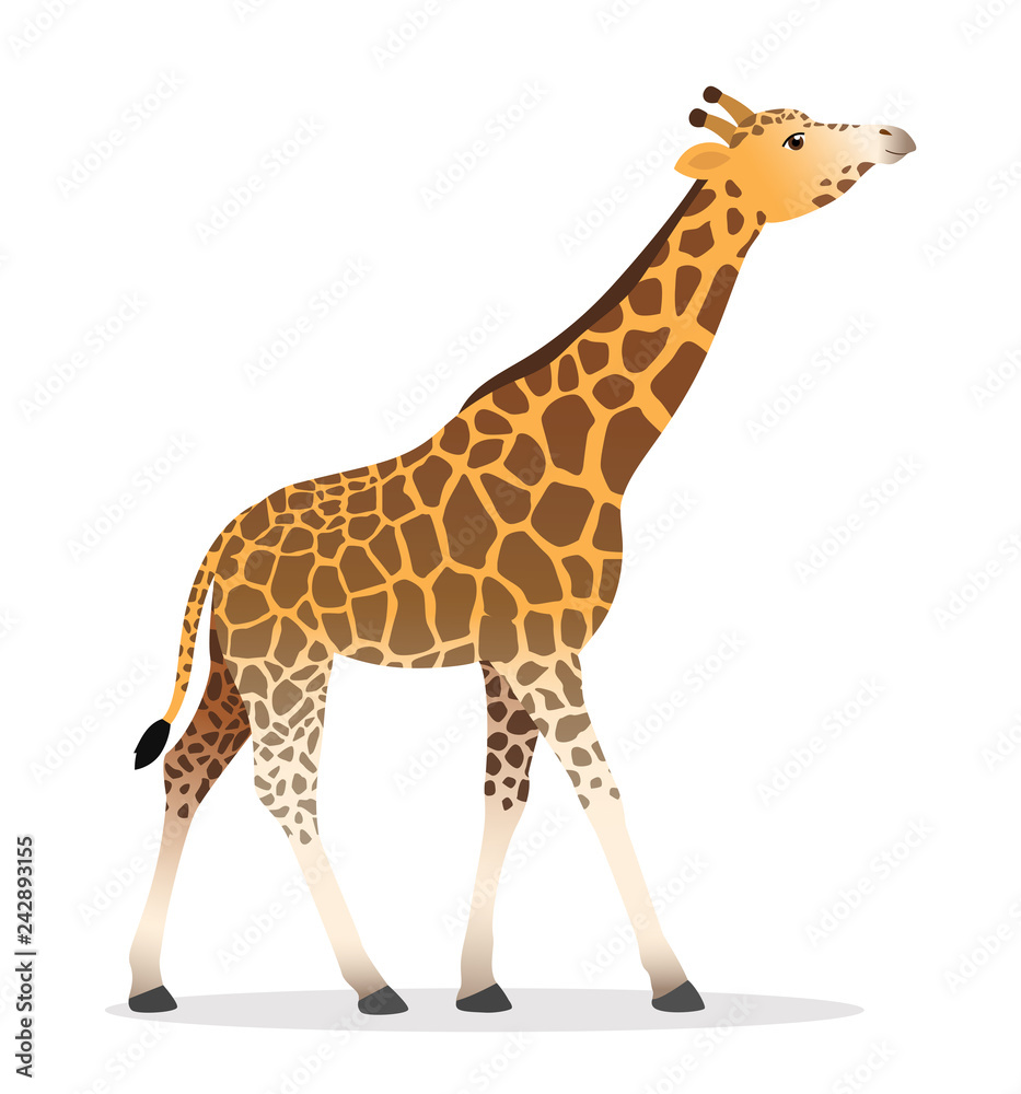 Giraffe walking flat african animal wildlife vector illustration icon isolated on white