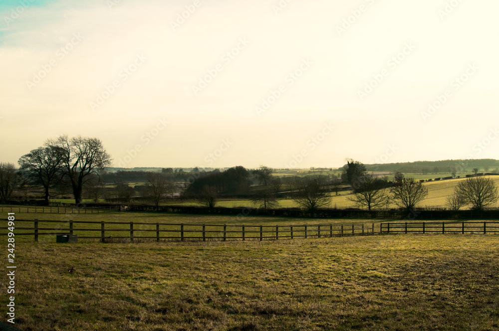 Fototapeta premium Rolling green hills