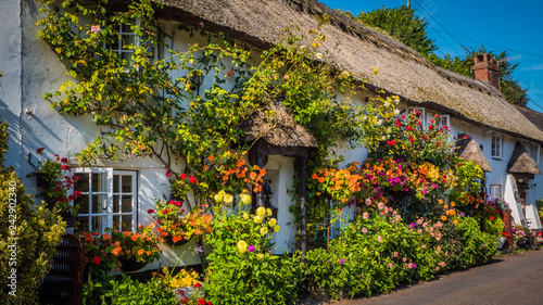 Cute old English house with a thatched roof and flowers in a green hilly landscape on a summer sunny day with blue sky in the UK in a holiday Dorset countryside between Sidmouth and Lyme Regis.