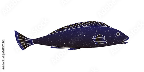 Decorative stylized fish. Vector outline illustration, night sky color silhouette isolated on white background