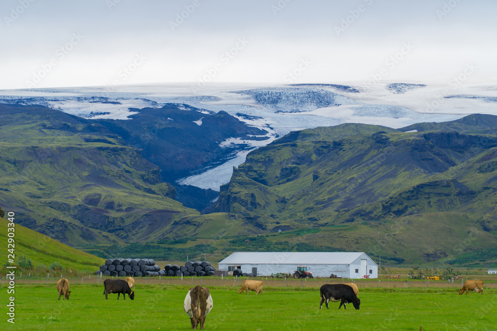 Gletscher auf Island