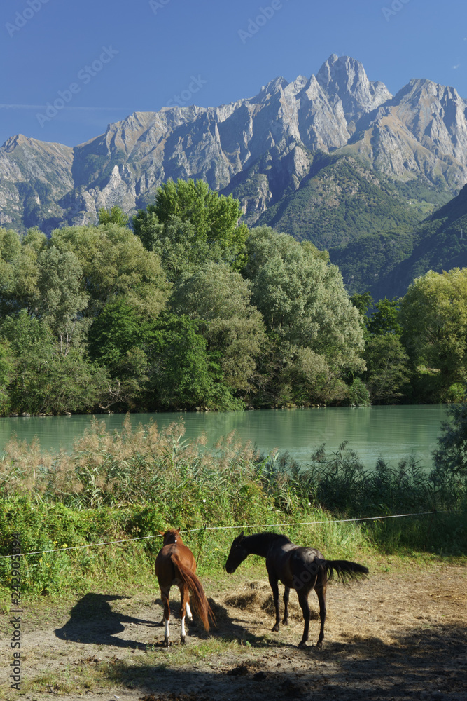 Fototapeta premium Dolomites au lac de côme