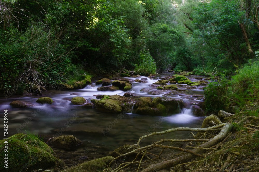 Obraz premium Ruisseau en ardèche