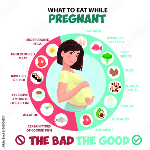 Pregnant woman diet infographic.
