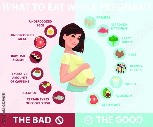 Pregnant woman diet infographic.