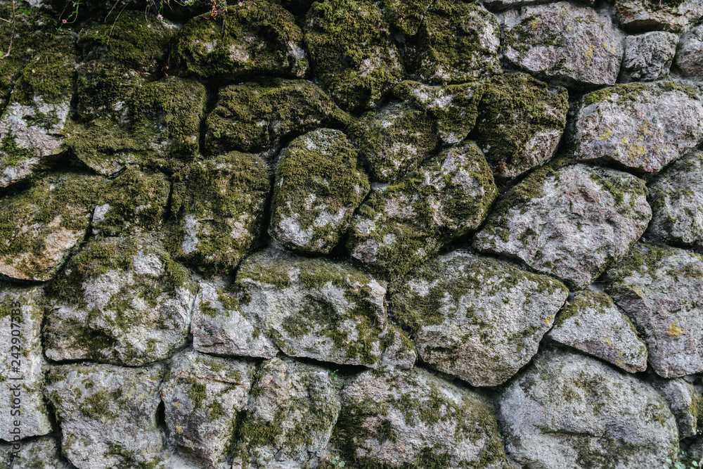 stone wall covered with moss closeup