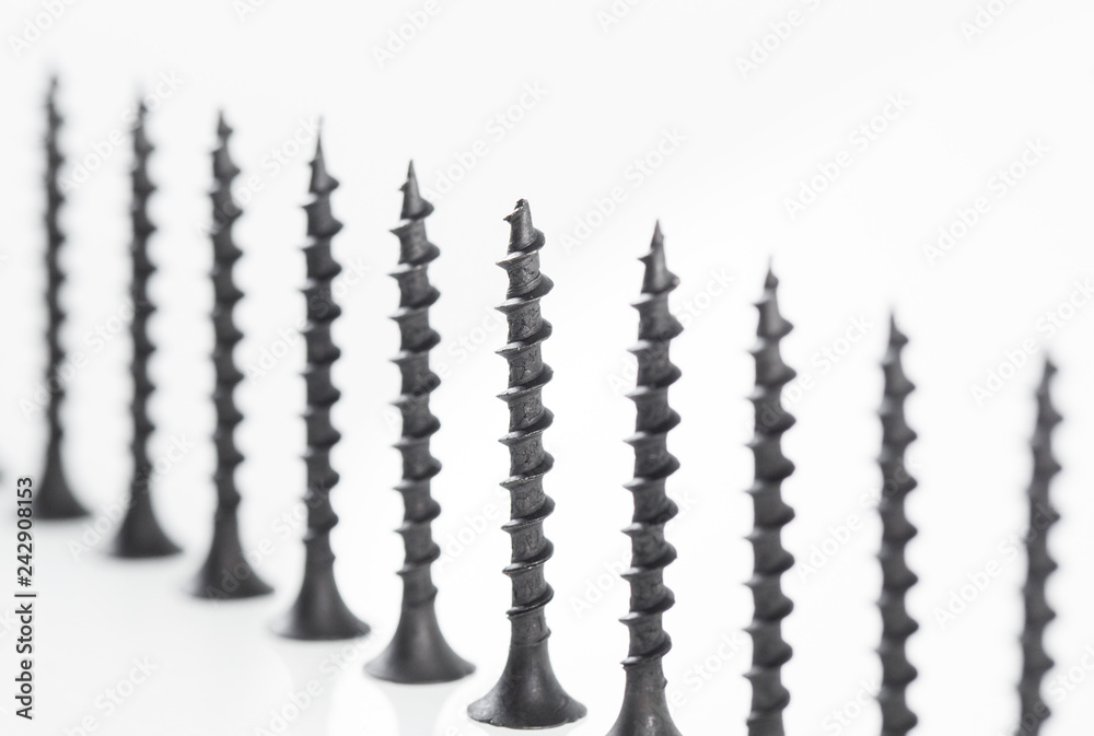 Screws still life large self tapping screws on white background. Screws still life large self tapping screws on white background.