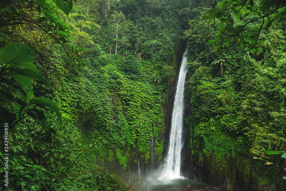 Fototapeta premium Air Terjun Munduk waterfall. Bali island, Indonesia.