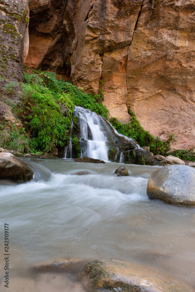 Zion National Park: The Narrows Zion National Park: The Narrows