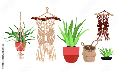 Macrame plant hangers for scandinavian interior.
