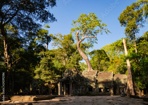 Photos Ta Phrom temple Angkor wat