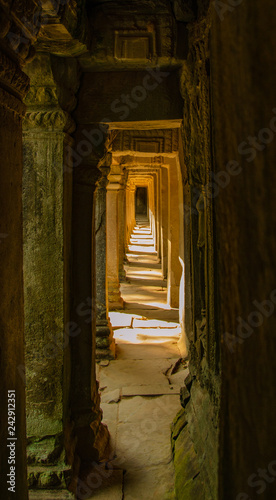Ta Phrom temple Angkor wat © WickedClick