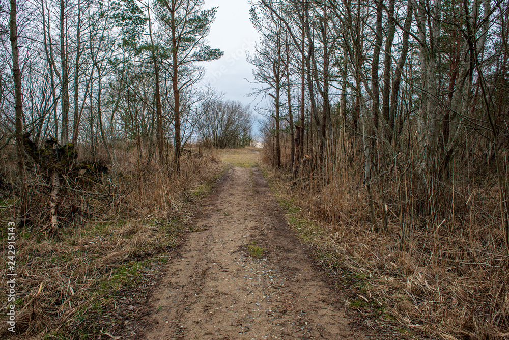 country gravel road with old and broken asphalt country gravel road with old and broken asphalt