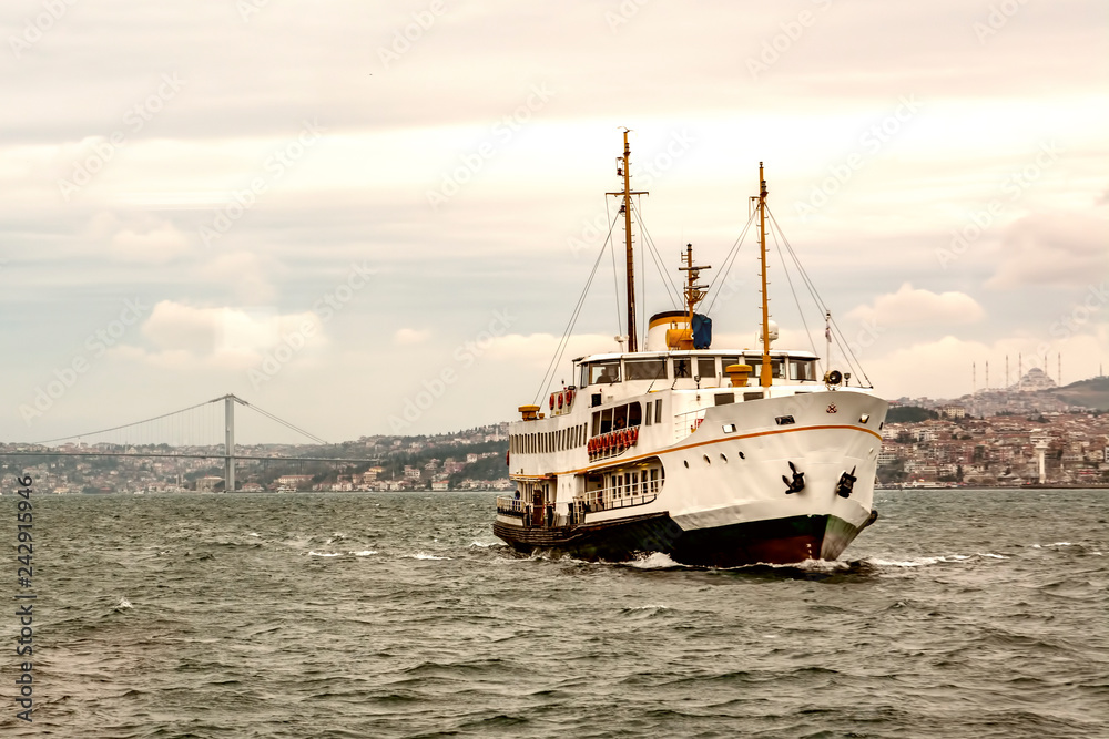Fototapeta premium Beautiful View touristic landmarks from sea voyage on Bosphorus. turkish steamboats, view on Golden Horn.
