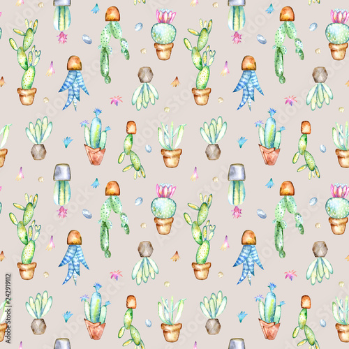 Seamless pattern of a cactus, sikkulent and floral.Watercolor hand drawn illustration.Brown background. photo