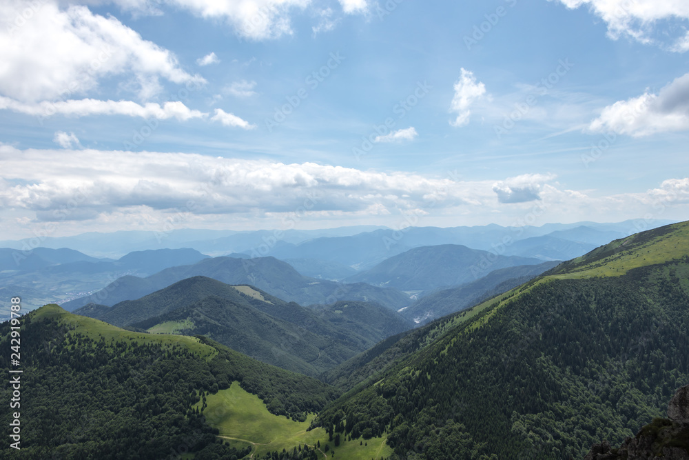 The forest in the national park Mala Fatra, Slovakia.