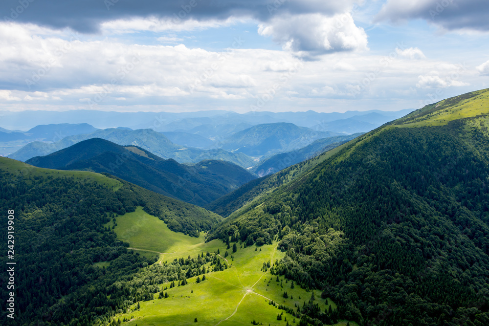 The forest in the national park Mala Fatra, Slovakia.