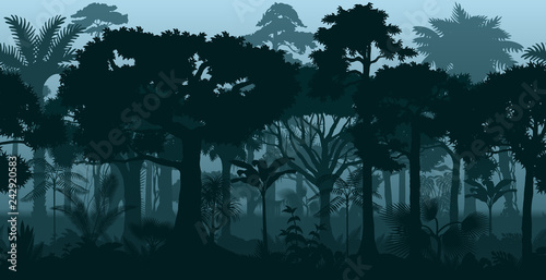 Vector horizontal seamless tropical rainforest Jungle background