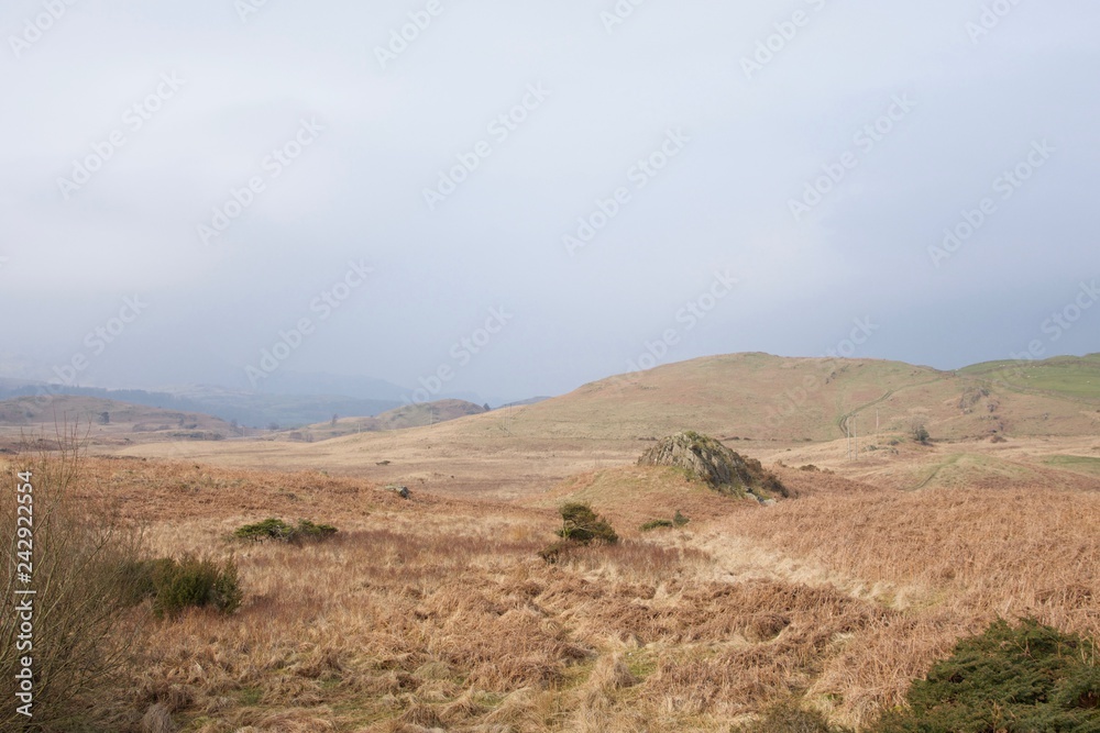 Rolling moorland in the north of Britain, large jagged rock and dry bracken Rolling moorland in the north of Britain, large jagged rock and dry bracken
