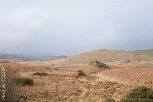Rolling moorland in the north of Britain, large jagged rock and dry bracken