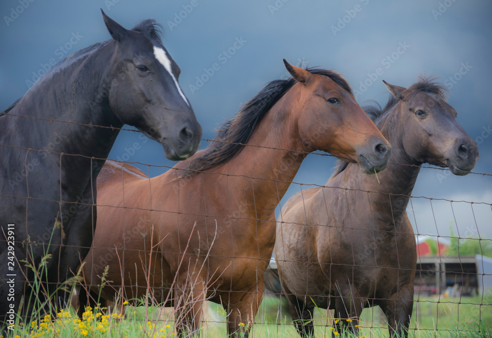 Obraz premium Take my Picture?