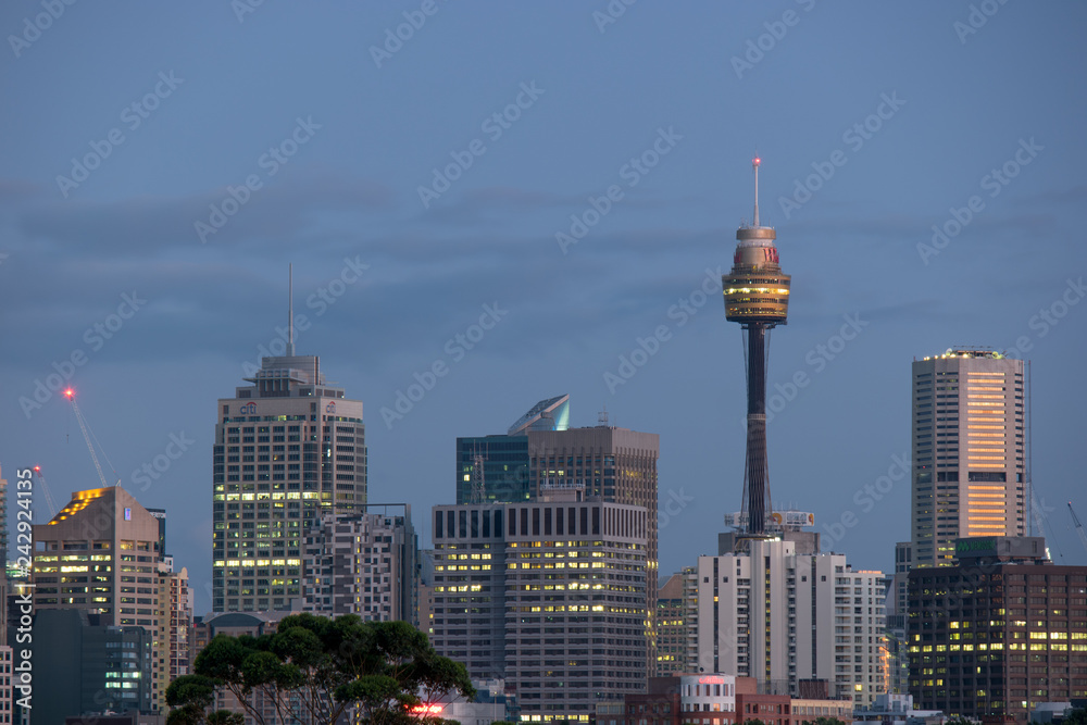 Naklejka premium sydney skyline at dawn
