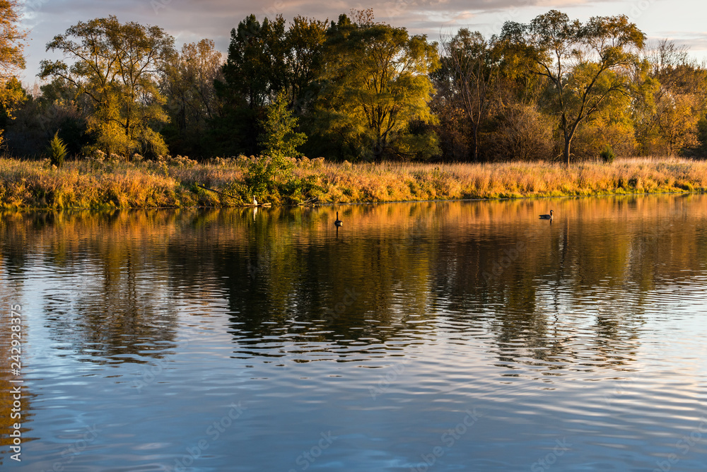 Pond in a park with trees reflected in it Pond in a park with trees reflected in it