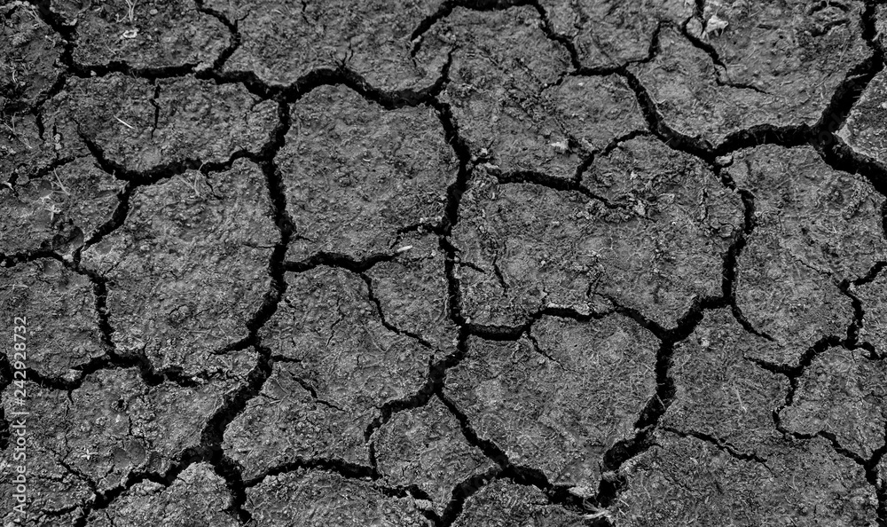 Close up of land cracked for background and texture . The soil crack from disaster of shortage water on planet and the root cause from climate change and drought. Global warming concept. Close up of land cracked for background and texture . The soil crack from disaster of shortage water on planet and the root cause from climate change and drought. Global warming concept.