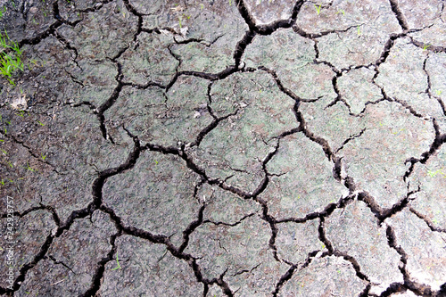 Close up of land cracked for background and texture . The soil crack from disaster of shortage water on planet and the root cause from climate change and drought. Global warming concept.