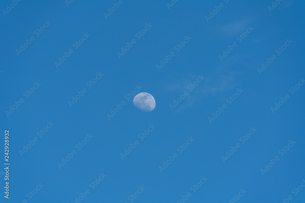 Half Moon Background / The Moon is an astronomical body that orbits planet Earth, being Earth's only permanent natural satellite Half Moon Background / The Moon is an astronomical body that orbits planet Earth, being Earth's only permanent natural satellite