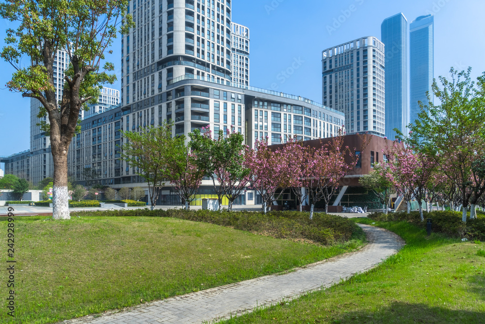 beautiful park at a sunny day, shanghai, china.