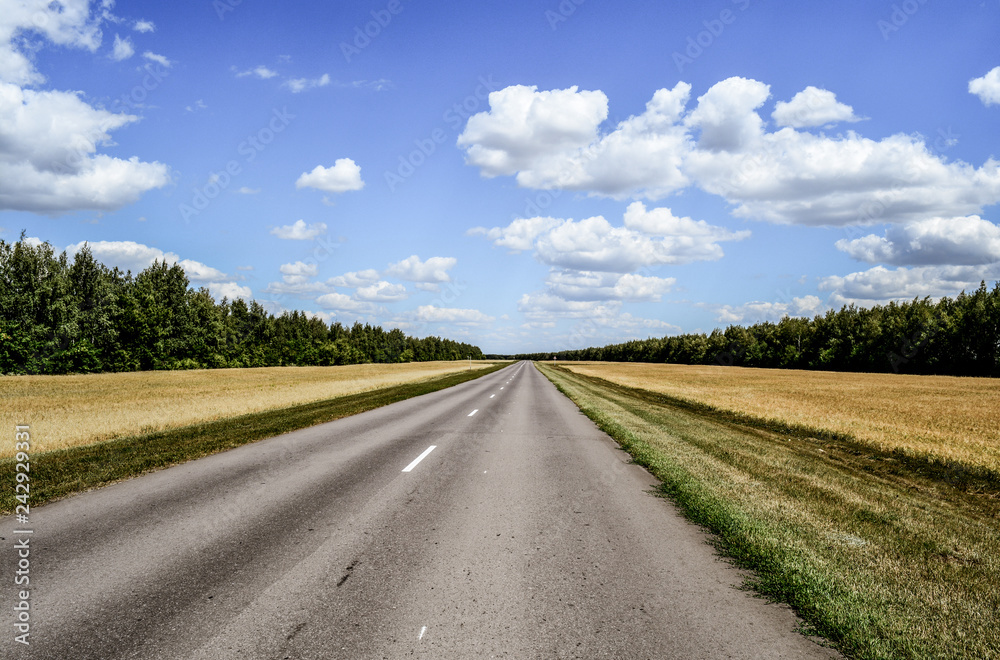 Asphalt road among fields