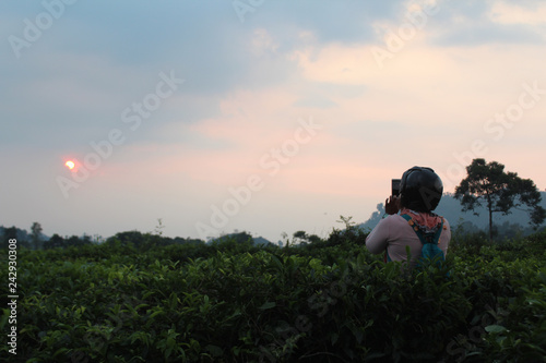The Women in the Tea garden. She watching sunset © Jefar