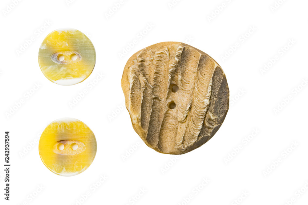 Mother-of-pearl and bone sewing buttons on isolated background Mother-of-pearl and bone sewing buttons on isolated background